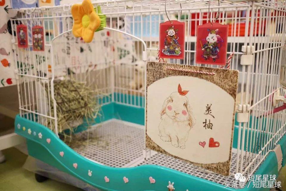 哪种兔笼比较好,兔笼有几种款式