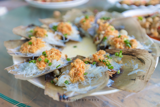 面面旅拍—诉不完千古泪,道不停三亚情,这个冬天我们掌心有太阳