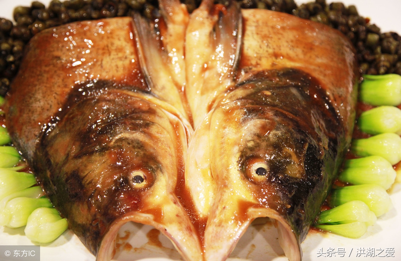 家养的鮰鱼是什么样的,鮰鱼的生活习性