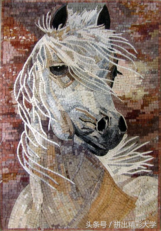 漂亮的贝壳的饰品,贝壳美丽饰品