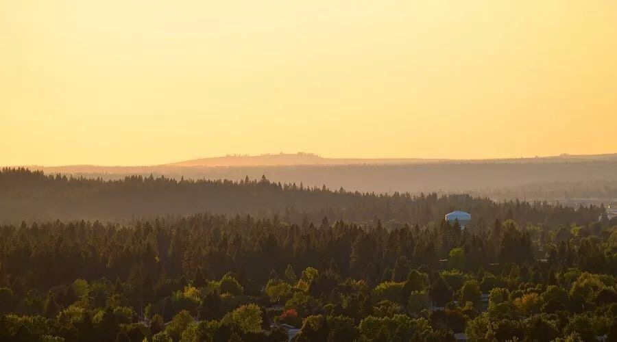 为什么清晨咳得厉害,早上起来狂咳是怎么回事