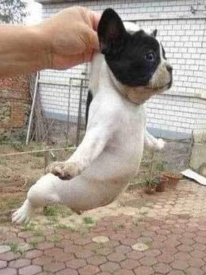 体考推荐武术鞋,脚感好的体考鞋推荐