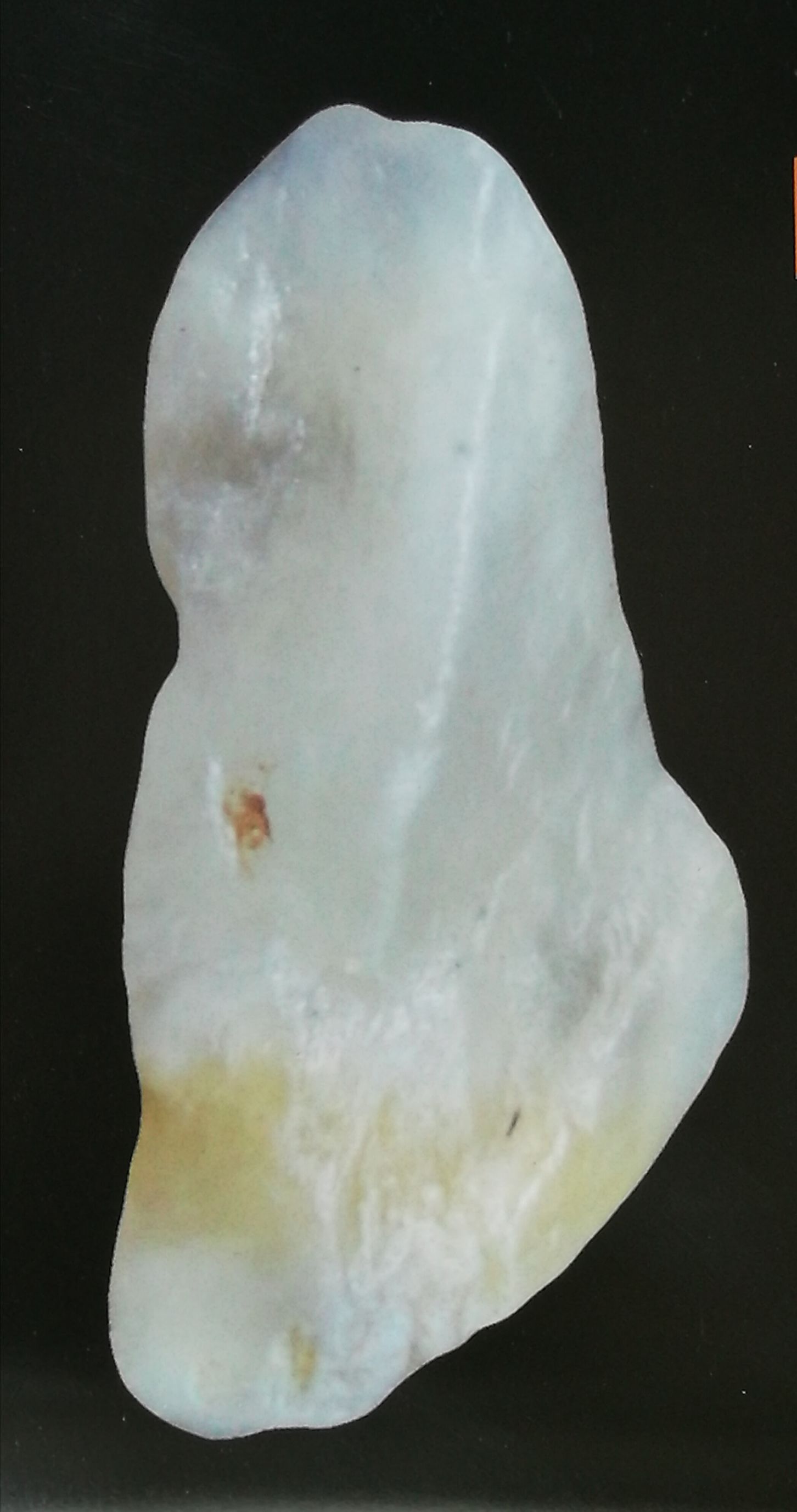 田黄石十大品种,皇帝田黄石品种图片