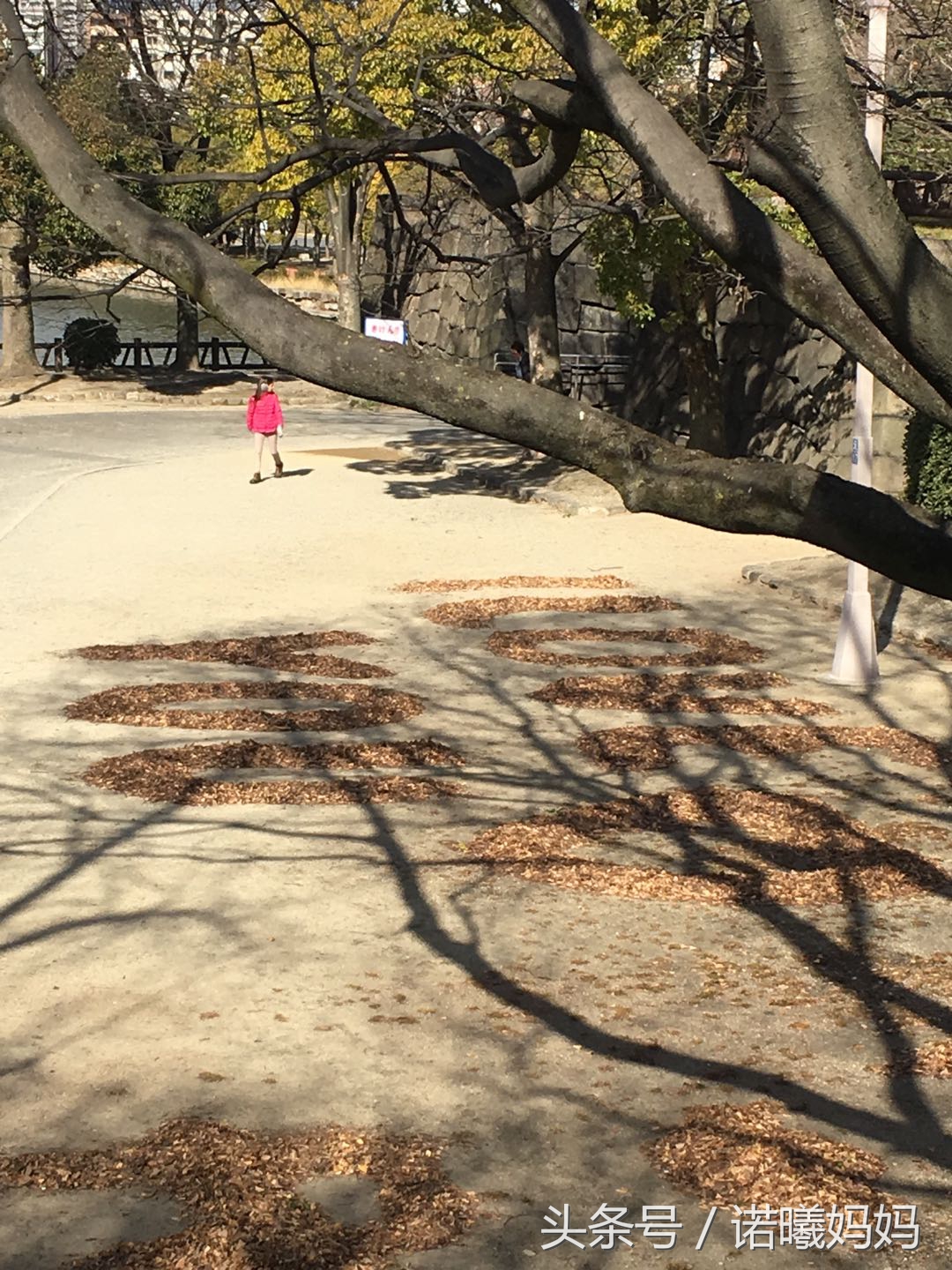 游记:完全不懂日语的妈,竟带俩娃自助游日本!