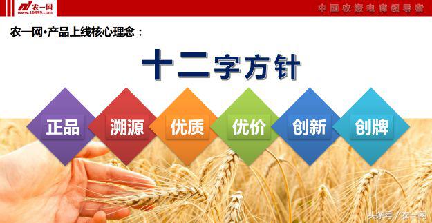 农业农村部继续大力发展农村电商,不忘初心砥砺前行乡村振兴