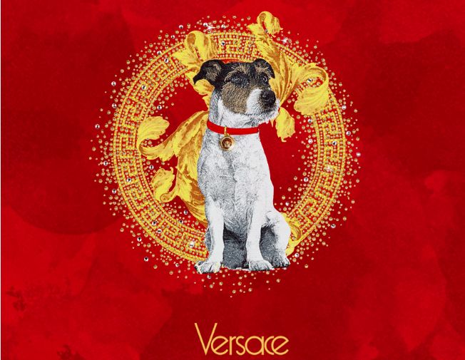 情人节要准备的礼物,情人节要过的有仪式感