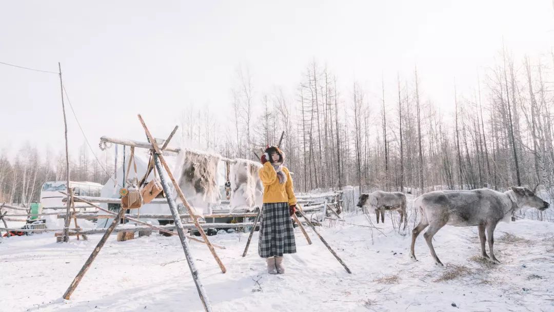 最后的驯鹿部落敖鲁古雅,中国最后原始部落敖鲁古雅