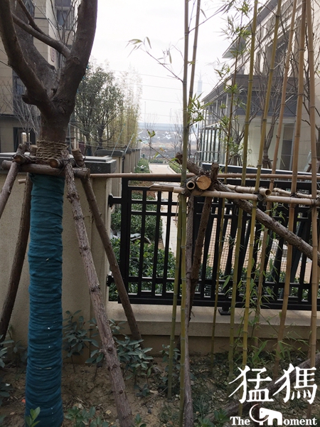 海珀兰轩郑州,郑州绿地海珀兰轩怎么样