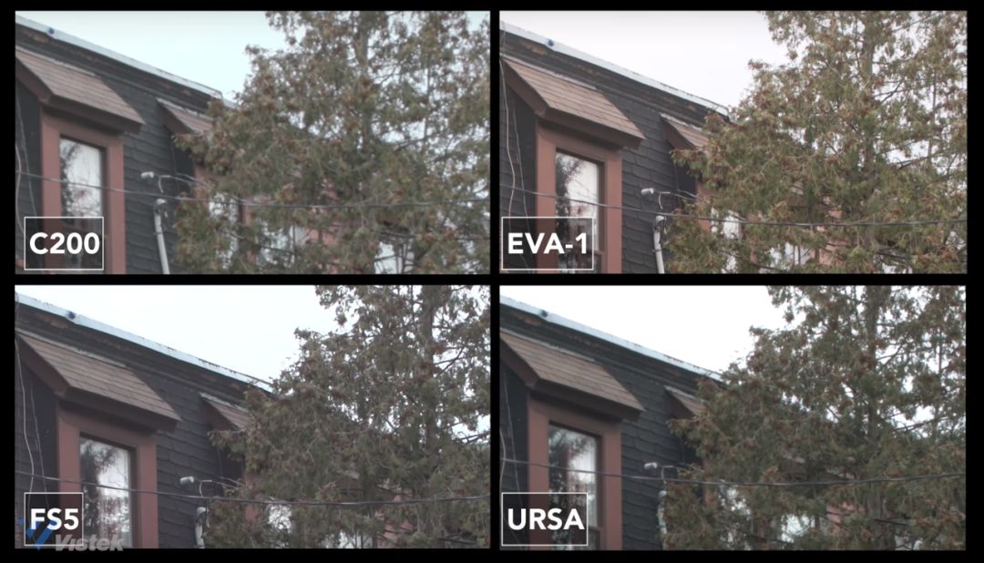 索尼佳能富士拍人像,佳能松下相机直出对比