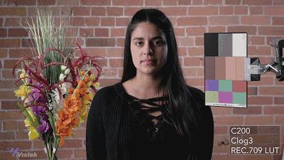 索尼佳能富士拍人像,佳能松下相机直出对比