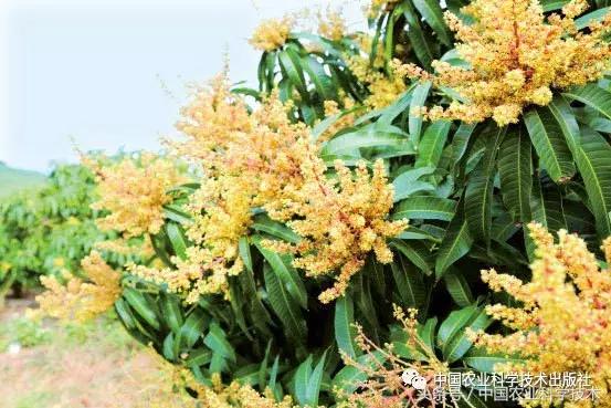 中国农产品地理标志丛书,农产品的地理标志书