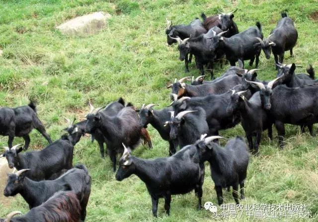 中国农产品地理标志丛书,农产品的地理标志书