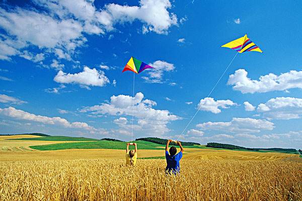 以风筝为题的片段,以风筝为主题写一首小诗