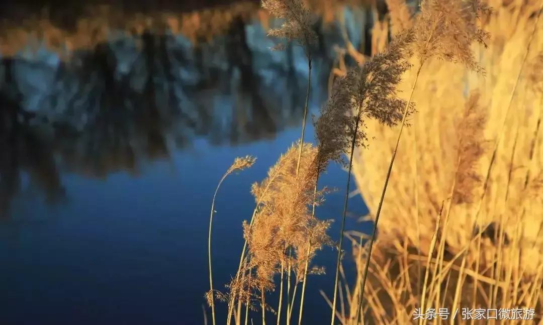 张家口下花园推荐,低调奢华的小城