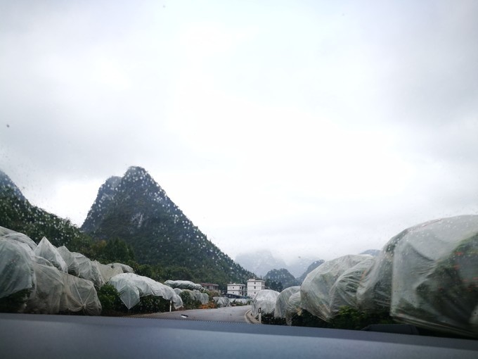 烟雨朦胧中的桂林山水,最简单桂林阳朔西街风景写生图片