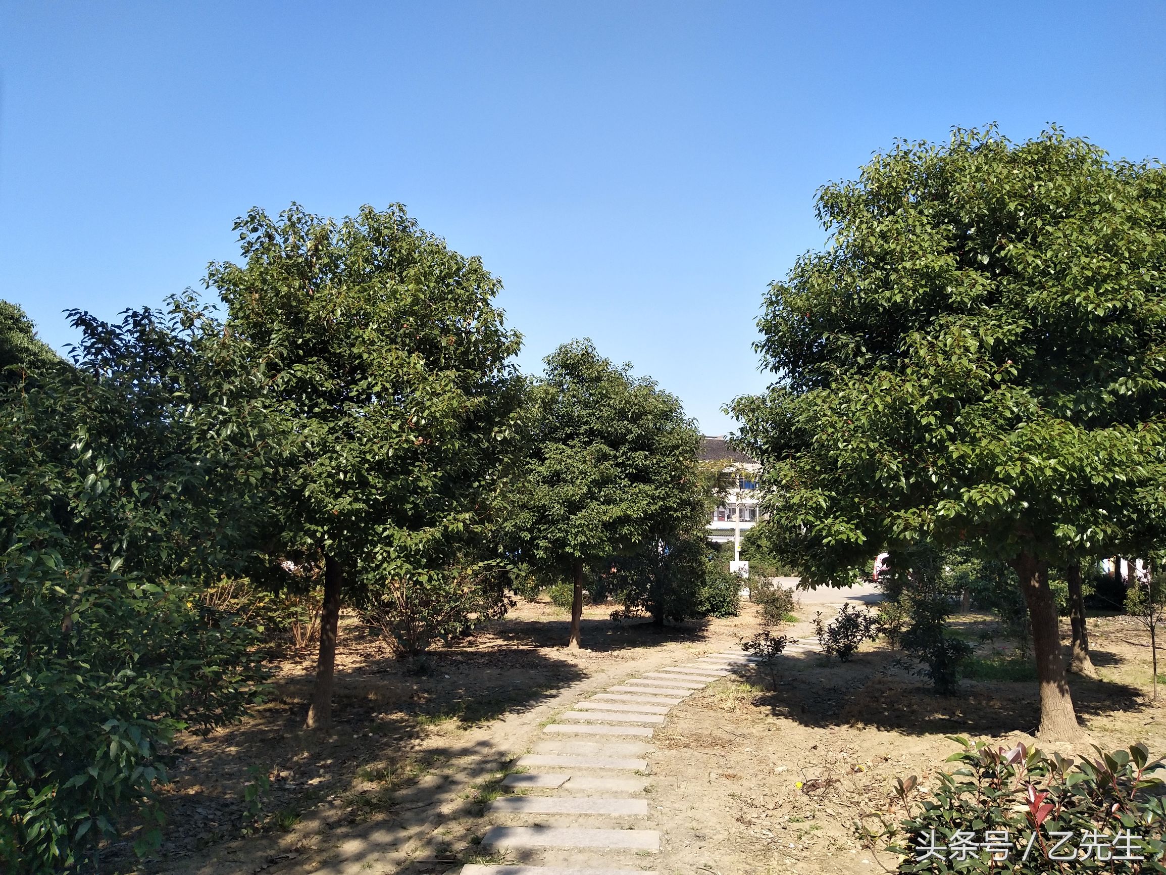 常州房价下跌的负面影响,房价还会继续下跌吗常州