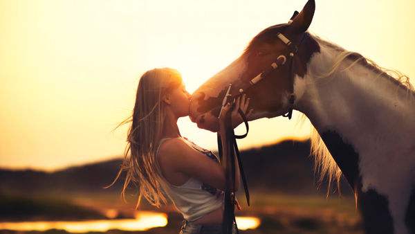十二生肖五行属性的最佳配对,十二生肖五行相生与婚配表
