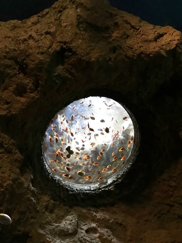 两天一晚珠海长隆旅游攻略,珠海长隆旅行一日游需要准备什么