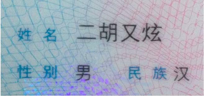 中国人都起什么名字,中国人一般起什么名字