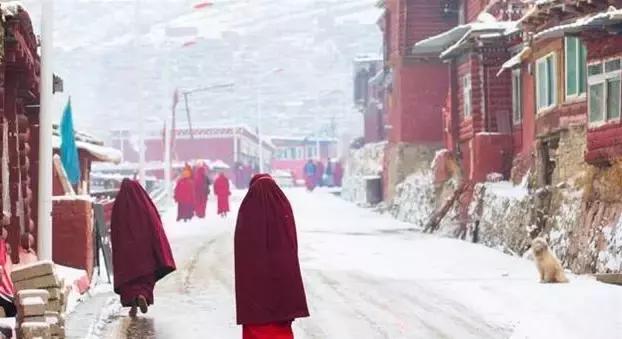 国内风景最好的旅游景点冬天,国内各地最美的十大自驾游线路