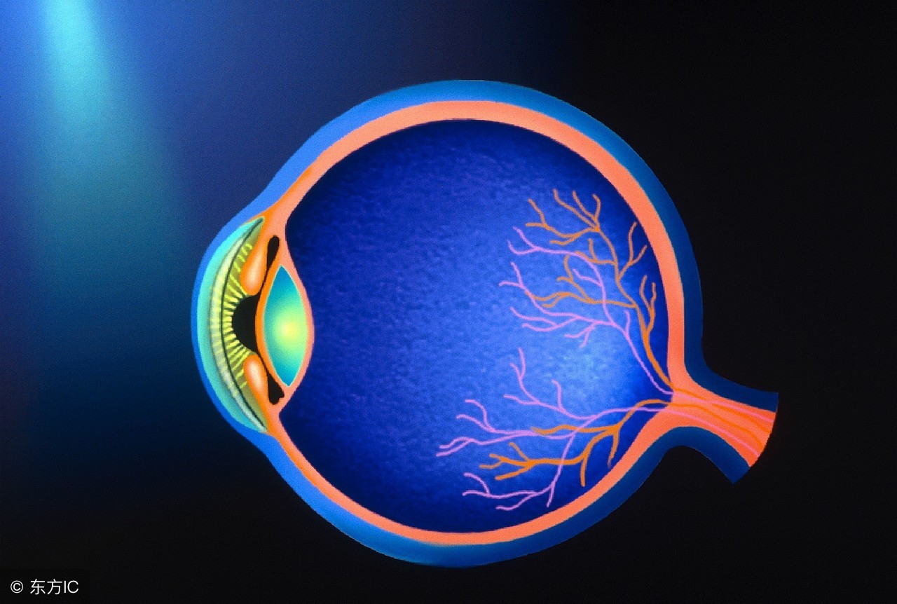眼睛里好多飞蚊症是怎么回事,眼睛有黑影飘动是飞蚊症怎么治疗