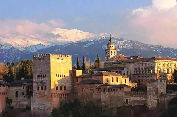 西班牙特级初榨橄榄油,橄榄油西班牙