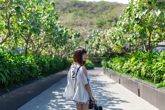 面面旅拍—诉不完千古泪,道不停三亚情,这个冬天我们掌心有太阳