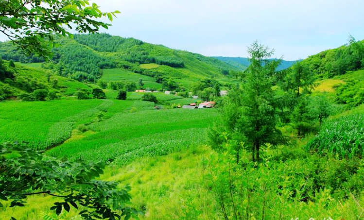 野钓意境图,意境泛舟钓鱼图