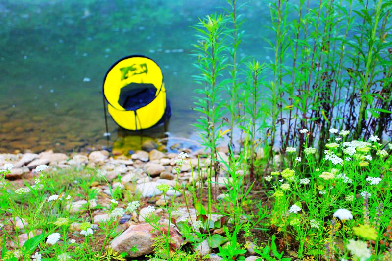 野钓意境图,意境泛舟钓鱼图
