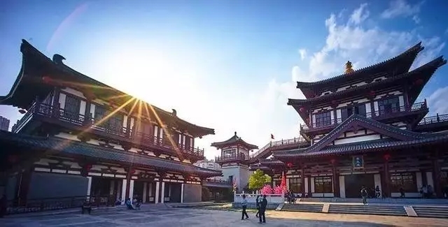 河南五十个试点县名单公示,最新河南试点县的名单是哪里