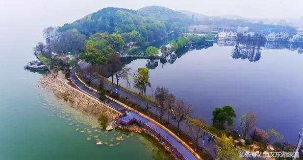 东湖绿道生机勃勃,世界级绿道东湖绿道