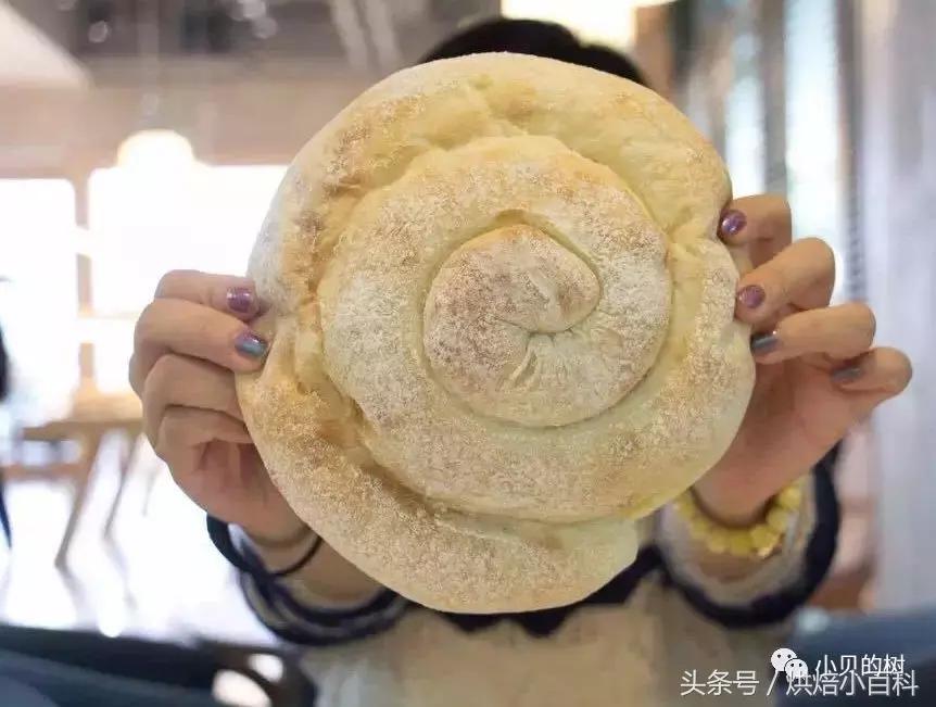 一边疯狂开店一边疯狂倒闭餐饮店,网红面包店停业事件