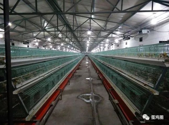 怎样搭建鸡舍方便又卫生,怎样建室内鸡舍图片