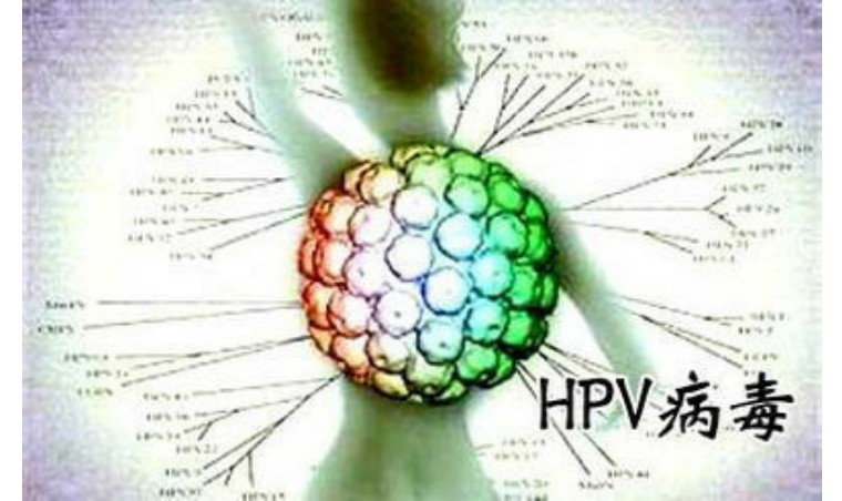 世界癌症预防日预防方法,女性癌症最佳治愈例子