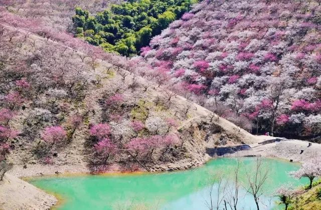 浙江安吉号称第一竹乡吗,安吉联合国最宜居城市