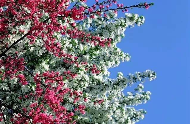 浙江安吉号称第一竹乡吗,安吉联合国最宜居城市