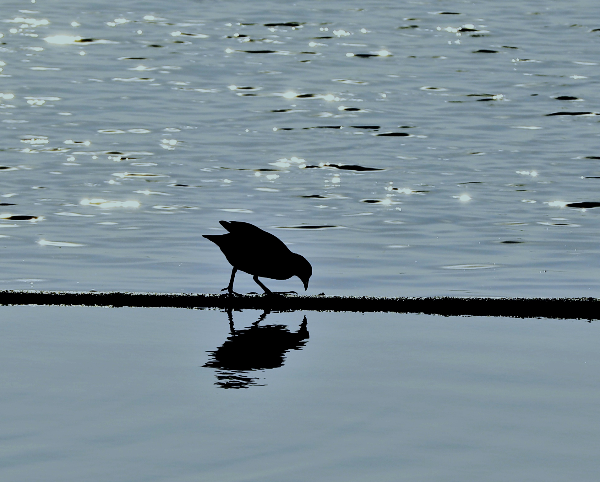 宿州市仙女湖,宿州天鹅湾湖