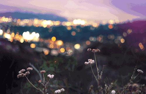 上虞发展成就,为上虞政府点赞