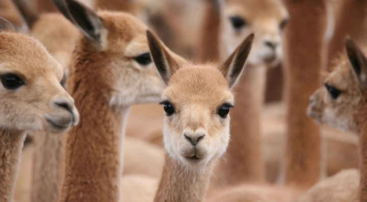 情人节要到了你有礼物吗,情人节要到了前任应该送礼物吗