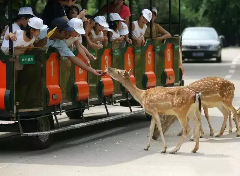 现在去广州长隆度假区旅游攻略,史上最全广州长隆度假区旅游攻略