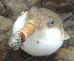 劝烟无效?你应该把这篇文章送给他