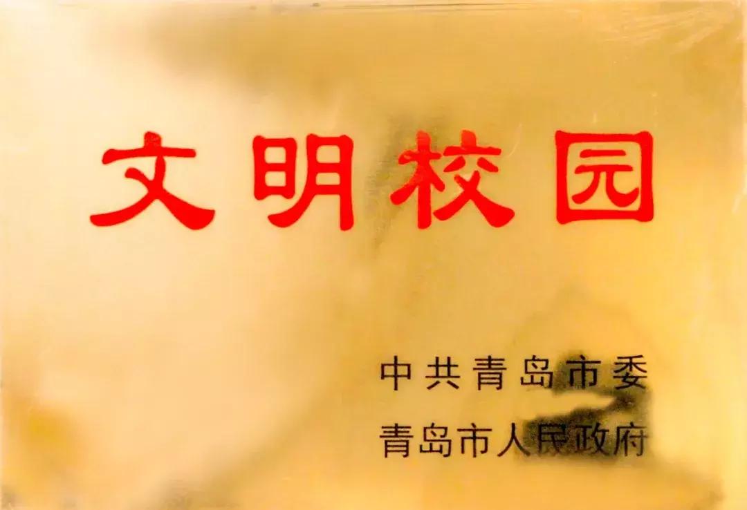 青岛艺校文明风采大赛,青岛文明学校合格名单