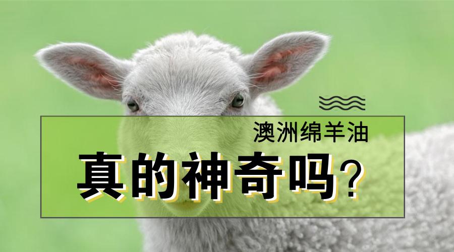 官方澳洲正宗绵羊油,澳洲代购绵羊油怎么样