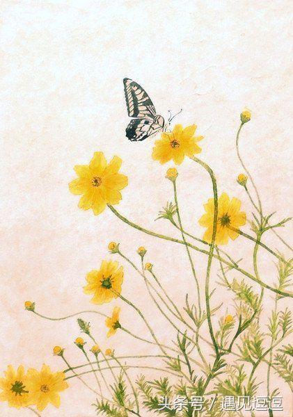 什么是善良视频讲解,什么是善良的句子