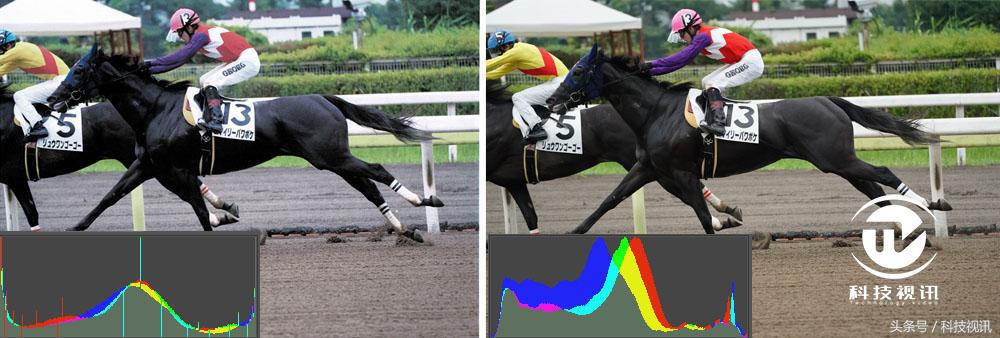 彩打墨仓打印机1000以下,低成本彩打