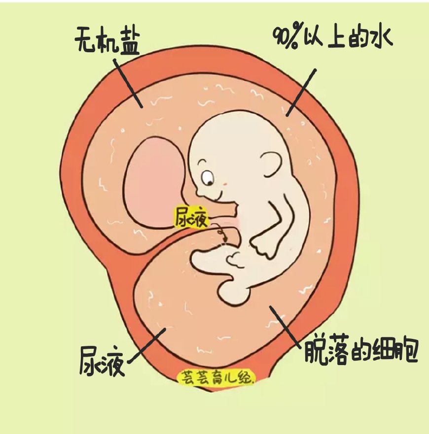 羊水意思,羊水为什么叫羊水它都有什么作用
