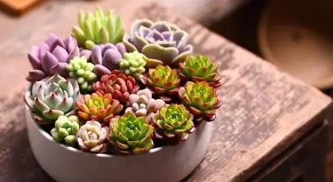 临沂很多人都在用！酒喝不完不要浪费掉，它们还有大用处！