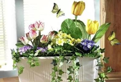 临沂很多人都在用！酒喝不完不要浪费掉，它们还有大用处！