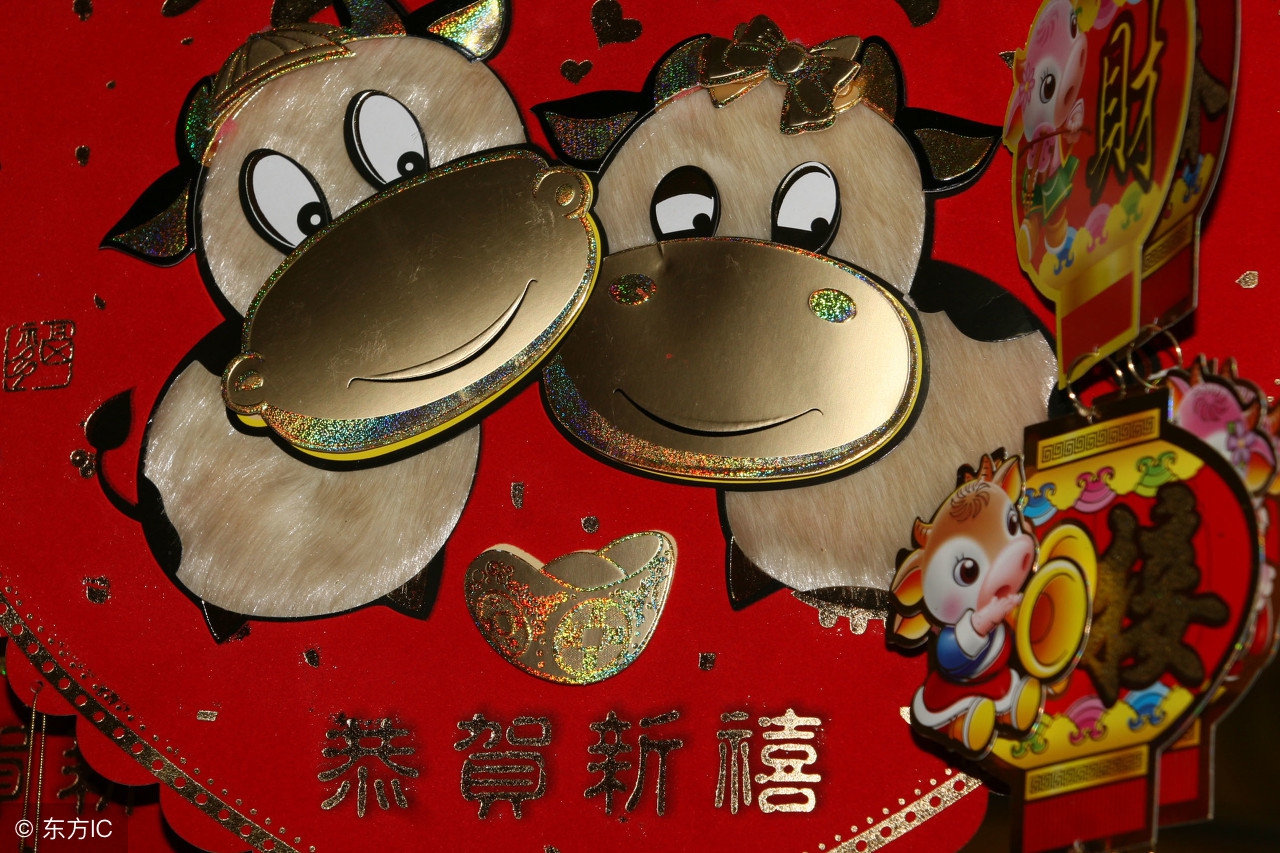 爸属鼠妈属狗生属什么宝宝好,爸爸属鼠妈妈属狗适合生什么宝宝