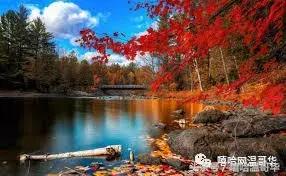 加拿大性别选项,加拿大性别立法